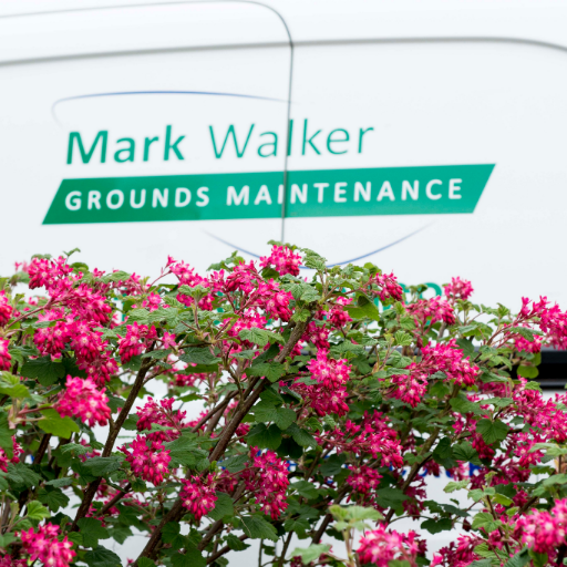 Established in 1984, we specialise in 
comprehensive grounds maintenance services for single and multi-site contracts in both the public and private sectors.