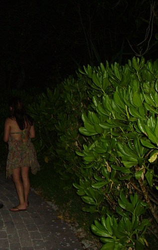 MissZedd's profile picture. 