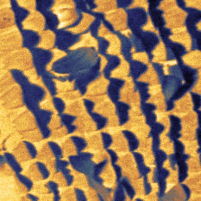 Centre for Organic Electronics Profile