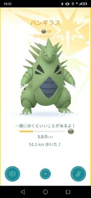 ポケモンGO活動をしてます(﹡ˆ﹀ˆ﹡)♡
よろしくお願いします😭