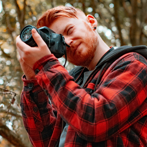 FictionalForest's profile picture. 