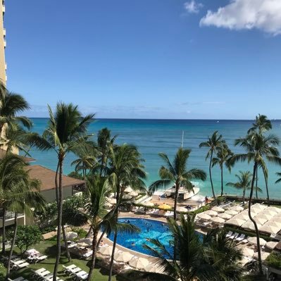 h5lzLvdZq37vMG1's profile picture. ニュース