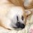 もぶこ