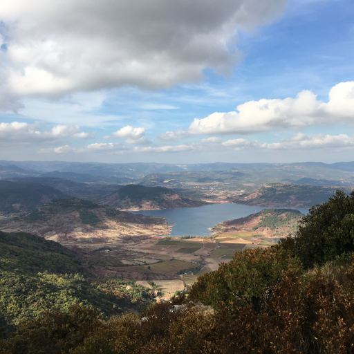 mccpe's profile picture. 