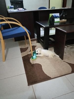 FortportalH's profile picture. firstlady@sports&music from the land of milk, honey & beauty. Live, Love! #prayeristhemasterkey.