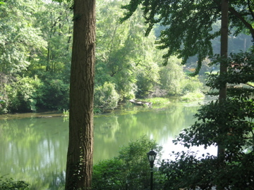 Womanswrite's profile picture. I am an aspiring author on the road to publication.