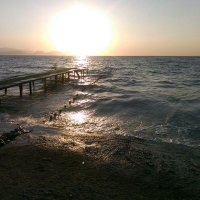 Flzknm (@flzknm1) Twitter profile photo