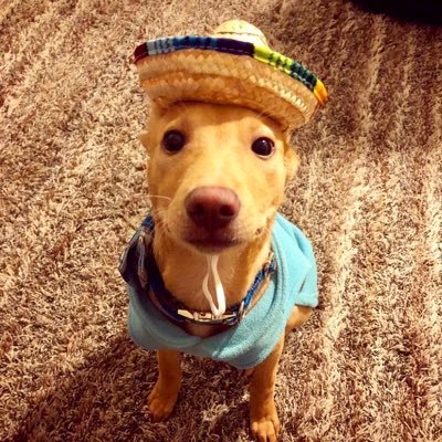 Marc_Fong_Esq's profile picture. Legal researchin’