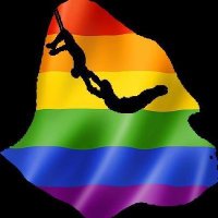 Gorilla Circus (@gorillacircus) 's Twitter Profile