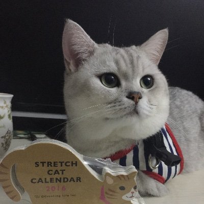 AhfaJen's profile picture. Love trave, daydream, enjoy life~