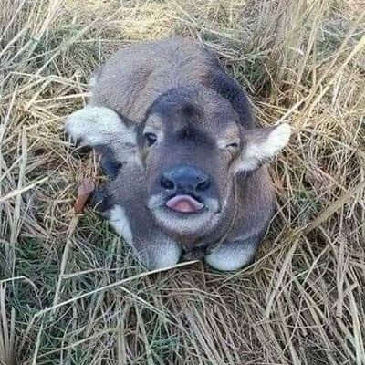 DarthDavil21's profile picture. ...^^...😜😜