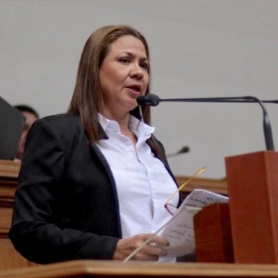 Secretaria Política del CEN AD, Ex Sect  Gral de AD Cojedes. vice presidenta de la AN 2017. Dip.Parlasur, com DDHH vice P. 2016/2020