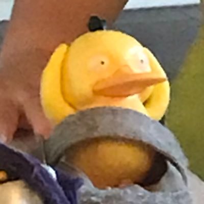 eeLenitsirhC's profile picture. parody account