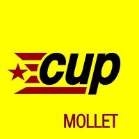 CUP Mollet 🎗(@CUP_Mollet) 's Twitter Profile Photo