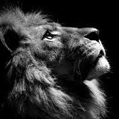 Arham20593188's profile picture. Doing Aircraft maintance engineering