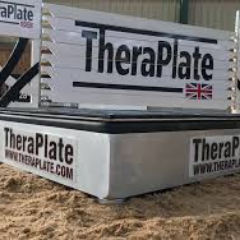 LEquinemassage's profile picture. 