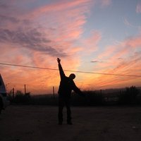 hadar (@hlandao) 's Twitter Profile