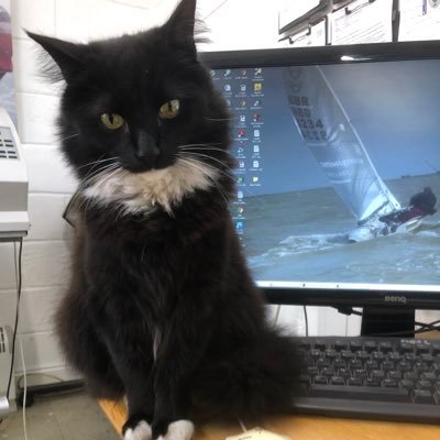 I’m Soxs - The Chief Rodent Officer at Curtis Signs Braintree UK. All the views I express are subject to cat logic. Official birthday 14th February.