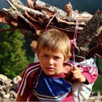 Hasan ÖRKÜT (@hasanorkut) 's Twitter Profile