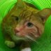 (((James Stirling))) (@jamesst37243649) Twitter profile photo (((James Stirling))) (@jamesst37243649) Twitter profile photo