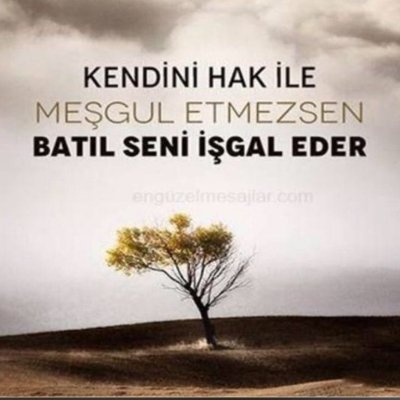 DavetciYolunda's profile picture. 