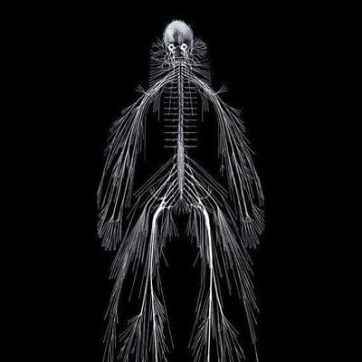 Yunusze79228255's profile picture. 