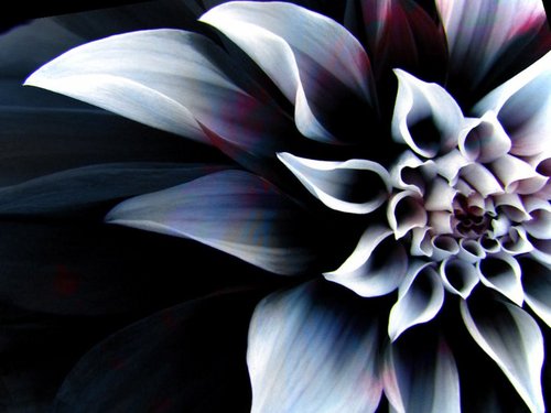 LaraZahl's profile picture. 