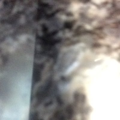 best_flooring's profile picture. 