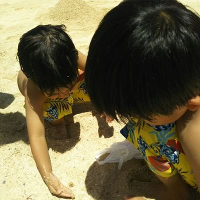 毎日わくわくしてます。
英会話がサッパリな私ですが
日本にいながら英語圏にとびこみ朝夕格闘中😄3年後の私どうなってるのか楽しみ😍
