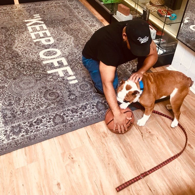 PitoMoas's profile picture. 