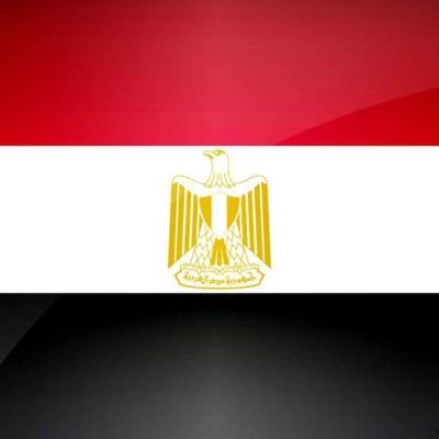 Medo76819930's profile picture. 