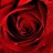 bellalarosa38's profile image