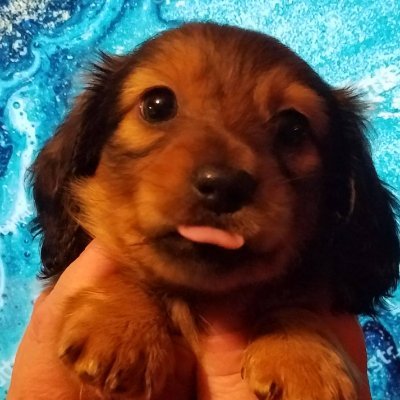 arrowman59's profile picture. From NASA to NANA =#EqualPay ~ #Medicare4All~ #LowerDrugCosts ~ #ClimateCrisis ~ #Infrastructure! #TheResistance 🌊 #StrongerTogether #RemoveTrump #VoteBlue