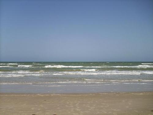 masticater's profile picture. Make me laugh or I'll make you cry!