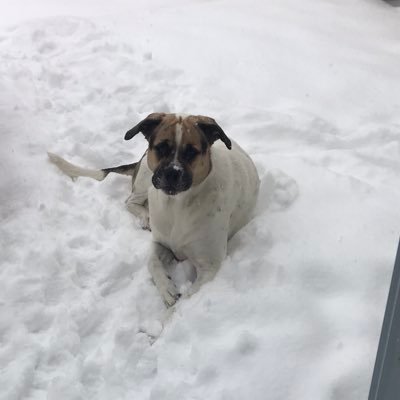 evenslim's profile picture. 