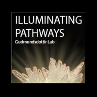 Anna Gudmundsdottir (@anna_dora_g) 's Twitter Profile Photo Anna Gudmundsdottir (@anna_dora_g) 's Twitter Profile Photo