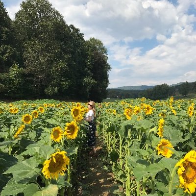 MorMegs09's profile picture. 