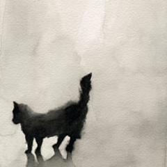 ohthatsnothing's profile picture. 