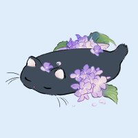 美雪@初回プロカ必読 (@yuki_ai_r) 's Twitter Profile