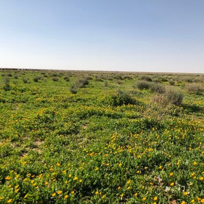 Mohd9865's profile picture. الفقير إلى الله