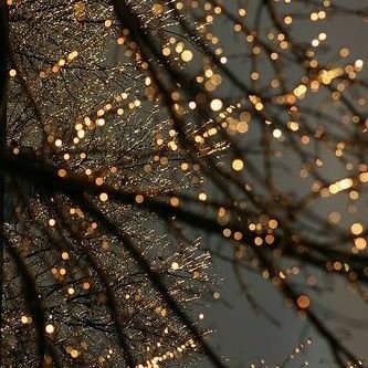 Tasabeh22's profile picture. Applied Arts 🎨 
|
Cinema 🎥♥️