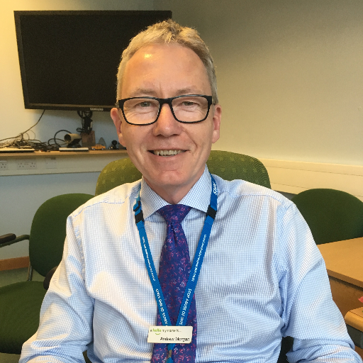 CEO of United Lincolnshire Hospitals NHS Trust