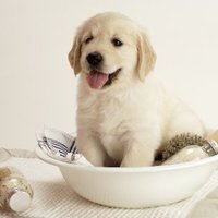 hiromasa206🐯母の介護一人で6年しました🐯 (@hiromasa206) 's Twitter Profile Photo