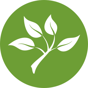 Información sobre todo tipo de materiales ecológicos. Divulgación de productos biodegradables y alternativas al plástico.