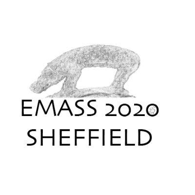 Run for and by PGs & ECRs on the archaeology of early-medieval world. 14th Annual EMASS: in Sheffield. #EMASS2020