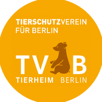 Tierschutz Berlin(@tvbberlin) 's Twitter Profile Photo