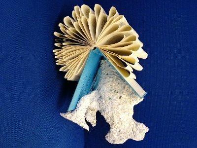 We are a high school library dedicated to inspiration, imagination and fun