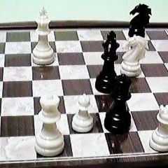 チェスプレイヤー・日本通信チェス協会会員/通信チェスの活動をしています/普段は将棋・ボードゲーム愛好家 時々ポーカーオンラインプレイヤー