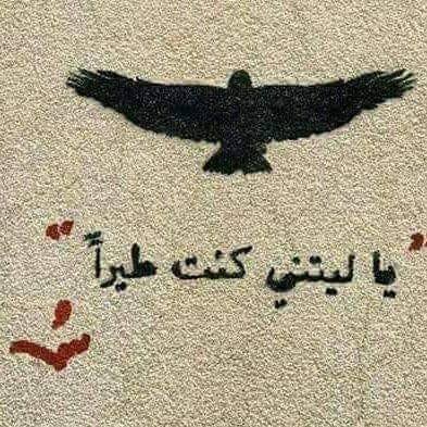 Diana_Jordani's profile picture. Be Good.