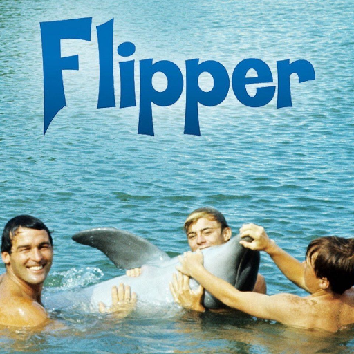 flipper_og's profile picture. 